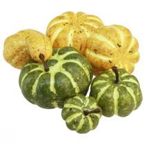 daiktų Taškinė dekoracija rudens puošmena moliūgai geltonai žalia Ø2–4,5cm 12 vnt