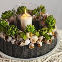daiktų Sultingas Echeveria dirbtinis žalias augalas žalias Ø5,5 cm 12,5 cm