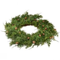 daiktų Eglės vainikas Thuja su pumpurų pagrindu vynmedžio vainikas Ø50cm