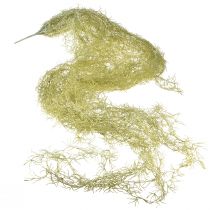 daiktų Tillandsia dekoratyvinis pakabinamas Tillandsia dirbtinis žalias baltas 180cm