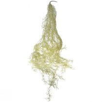 daiktų Tillandsia dekoratyvinis pakabinamas Tillandsia dirbtinis žalias baltas 180cm