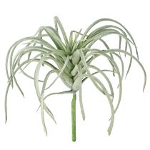 daiktų Tillandsia sultingi dirbtiniai žalieji augalai 13cm