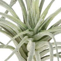 daiktų Tillandsia sultingi dirbtiniai žalieji augalai 13cm
