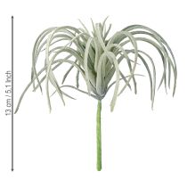 daiktų Tillandsia sultingi dirbtiniai žalieji augalai 13cm