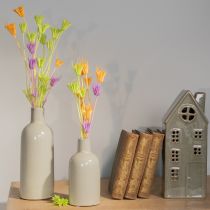 daiktų Džiovintų juodgrūdžių puokštė, dekoratyvinė, naudojama svetainėje, sukuria unikalią atmosferą, 70 cm, 50 g