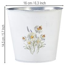 daiktų Baltas metalinis vazonas, gėlių vazonas, Ø16cm, aukštis 14.5cm