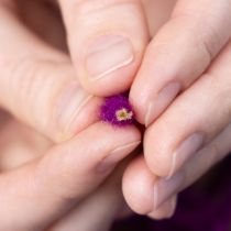 daiktų Vilnonė virvelė, violetinė, 55 m dekoratyvinė virvelė floristikai ir rankdarbiams