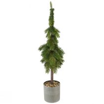 daiktų Smailia eglė vazone dirbtinė eglutė Ø12cm H70cm