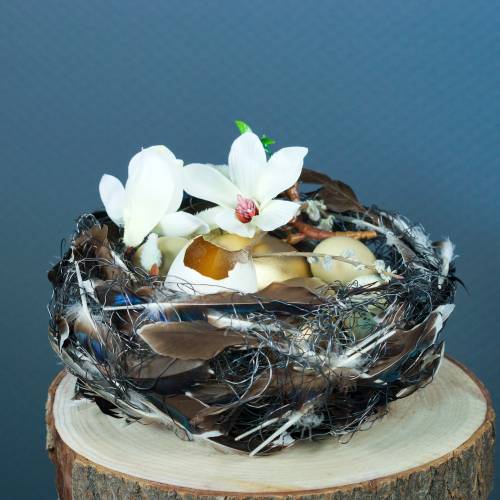 Floristik24 Magnolijos balta 51cm 3vnt