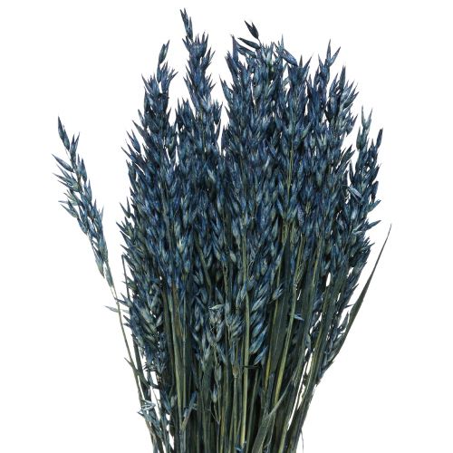 Floristik24 Džiovintos gėlės, avižos džiovintų grūdų puošmena mėlyna 68cm 230g