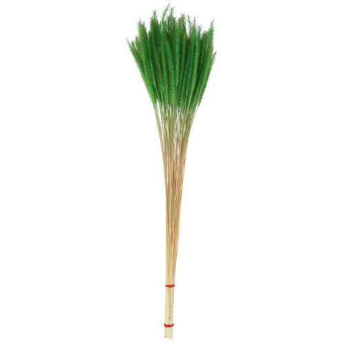 daiktų Žalių šerių sora Setaria viridis sausa žolė 52cm 28g