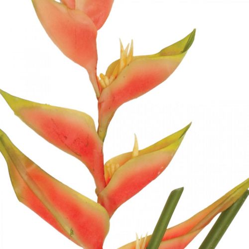 daiktų Heliconia dirbtinės gėlės egzotiškai rožinė, žalia H103cm