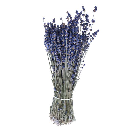 Floristik24 Džiovintų levandų kekė džiovintų gėlių mėlyna 25cm 75g