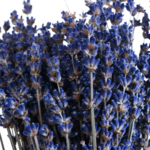 Džiovintų levandų ryšelis džiovintų gėlių mėlynos spalvos 25cm 75g