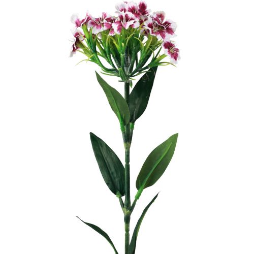 Floristik24 Barzdotas gvazdikas Dirbtinė gėlė Purpurinė Balta Gvazdikas 52cm