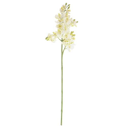 Floristik24 Phalaenopsis Dirbtinės Orchidėjų Dirbtinės Gėlės Baltos 70cm