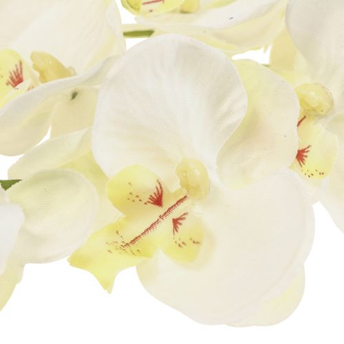Floristik24 Phalaenopsis Dirbtinės Orchidėjų Dirbtinės Gėlės Baltos 70cm