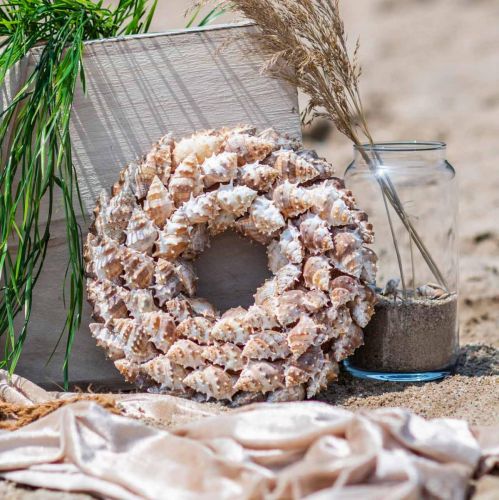Floristik24 Deco vainikas sraigės Jūrinės dekoracijos durų vainikas jūros sraigės Ø25cm