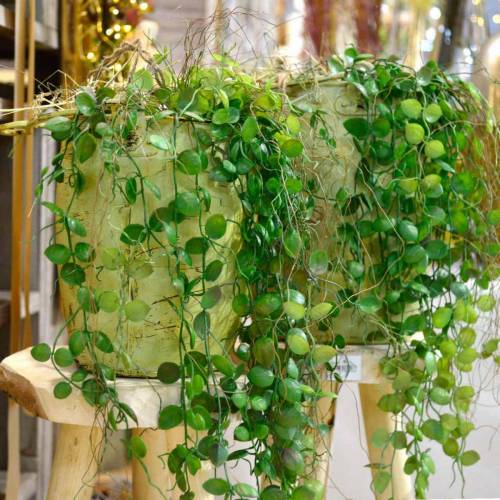 daiktų Kabantis augalas vazone Dirbtinis žalias augalas Pakabinamas krepšelis
