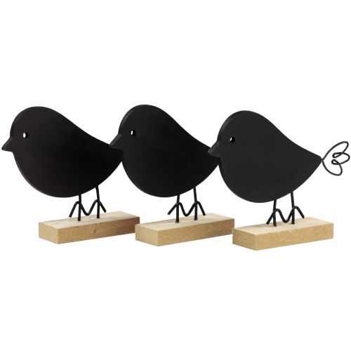 Floristik24 Dekoratyviniai paukščiai juodi mediniai paukščiai mediniai dekoravimo spyruoklė 13,5cm 6vnt