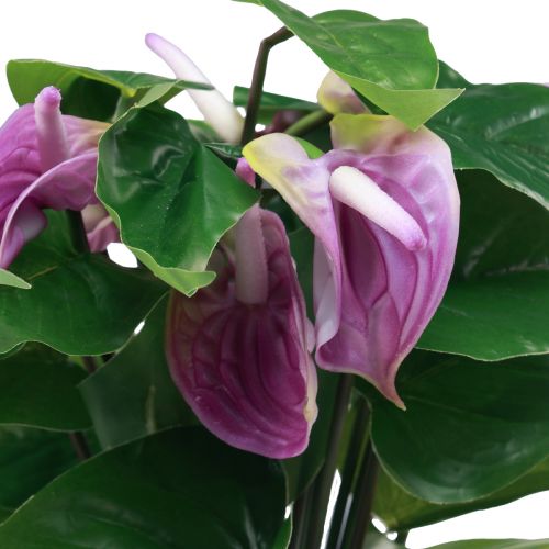 Floristik24 Dirbtinės gėlės dirbtiniai anturio dirbtiniai augalai vazone 41cm