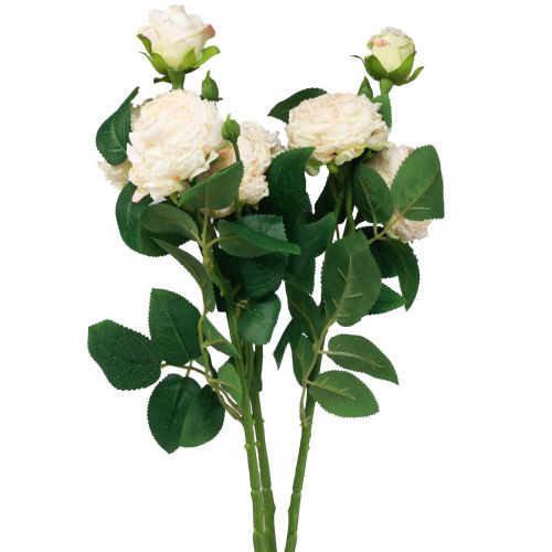 Floristik24 Dirbtinės rožės kremas Artificial Roses Dry Look 53cm 3vnt