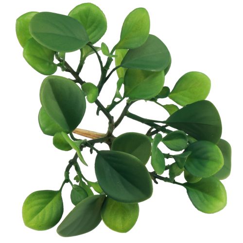 daiktų Dirbtinis žalias augalas sultingas dirbtinis žalias H14cm