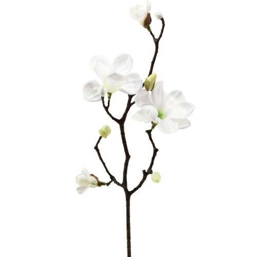 Floristik24 Dirbtinė gėlė magnolijos šakelė, dirbtinė magnolija, balta, 58 cm, 3 vnt.