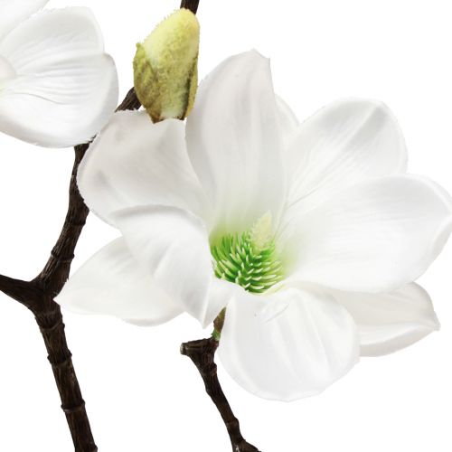 Floristik24 Dirbtinė gėlė magnolijos šakelė, dirbtinė magnolija, balta, 58 cm, 3 vnt.