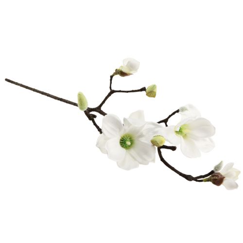 Floristik24 Dirbtinė gėlė magnolijos šakelė, dirbtinė magnolija, balta, 58 cm, 3 vnt.