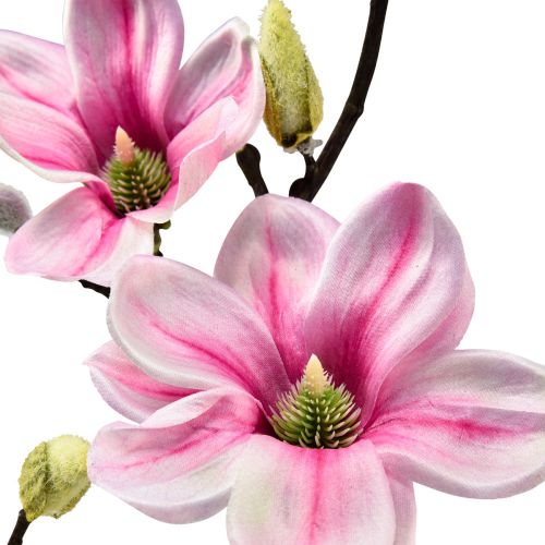 daiktų Dirbtinė gėlė Magnolijos šakelė Magnolijos Dirbtinė rožinė 59cm 3vnt