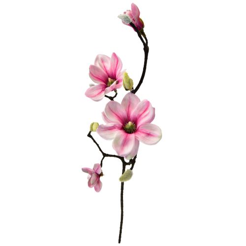 daiktų Dirbtinė gėlė Magnolijos šakelė Magnolijos Dirbtinė rožinė 59cm 3vnt