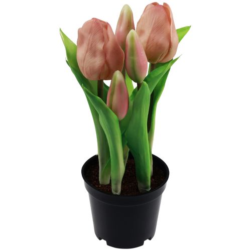 daiktų Dirbtinės tulpės vazone Tulpės Persikų dirbtinės gėlės 22cm