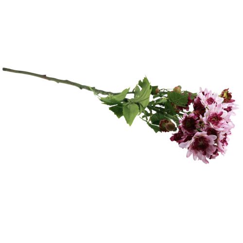 daiktų Dirbtinės Gėlės Dirbtinės Astras Šilkinės Gėlės Violetinės 80cm