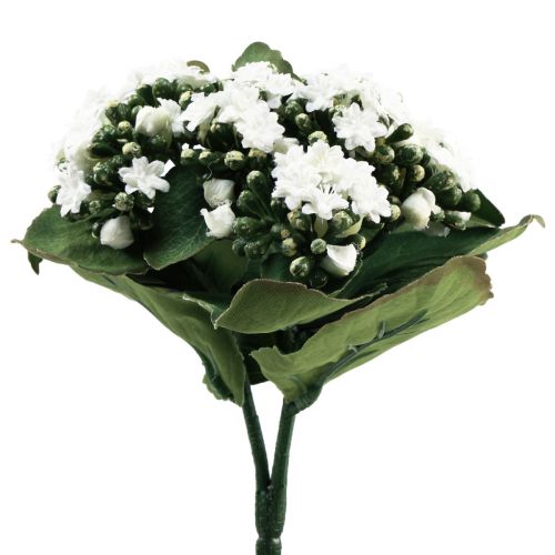 daiktų Dirbtinė Kalanchoe Flaming Käthchen White 24cm