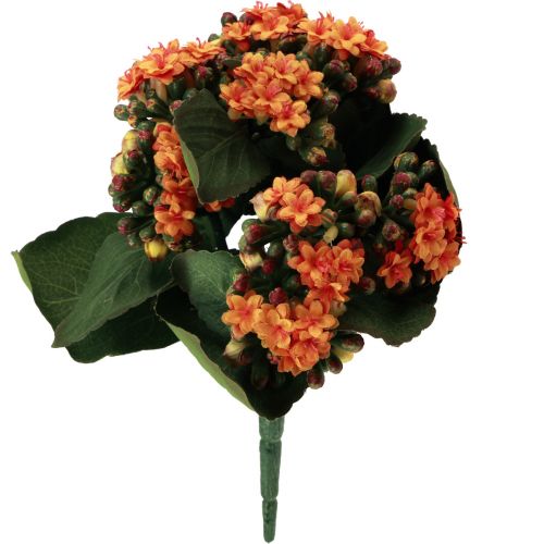 daiktų Liepsnojantis Käthchen Kalanchoe dirbtinis apelsinas 24cm