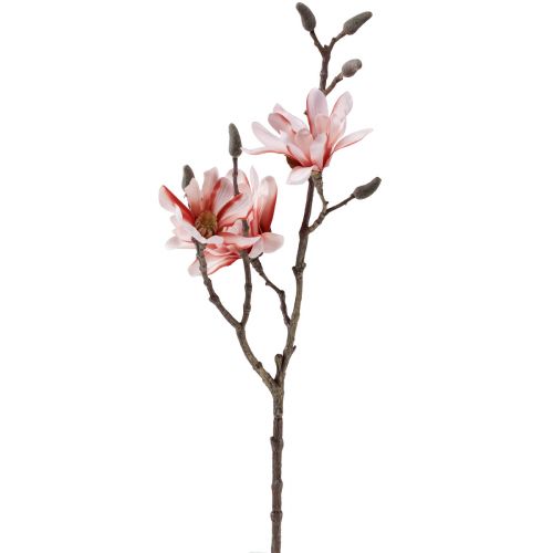 Floristik24 Magnolijos šakelė magnolijos dirbtinė lašiša 58cm