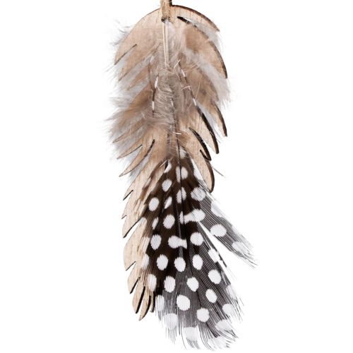 daiktų Dekoratyvinis plunksnų pakabukas medinė natūrali plunksna 9,5/10cm 9vnt
