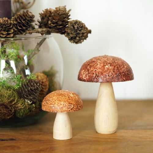 daiktų Mediniai grybai dekoratyviniai grybai stalo puošmena rudeniniai rudi natūralūs 5×6cm 8 vnt