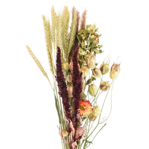 Floristik24 Džiovintų gėlių puokštė šiaudų gėlių oranžinė violetinė 55cm 70g