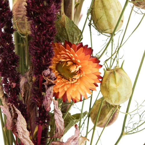 Floristik24 Džiovintų gėlių puokštė šiaudų gėlių oranžinė violetinė 55cm 70g