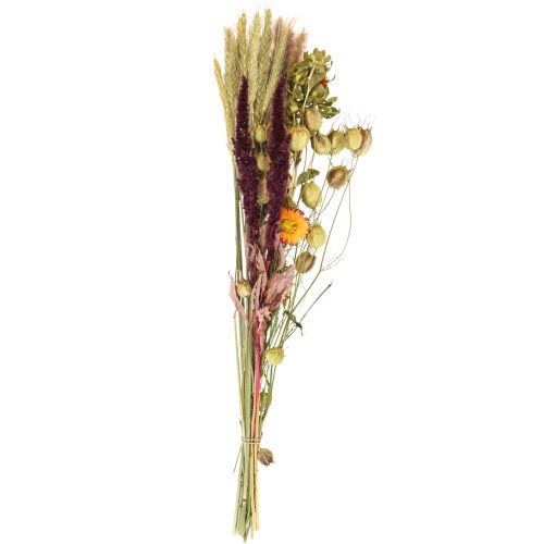 Floristik24 Džiovintų gėlių puokštė šiaudų gėlių oranžinė violetinė 55cm 70g