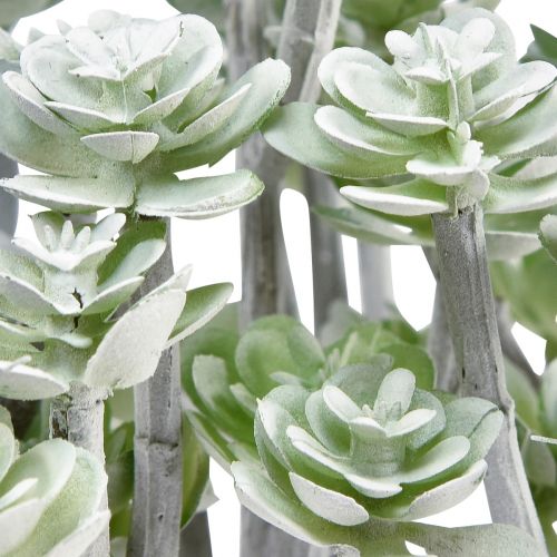 daiktų Stonecrop Dirbtiniai sukulentai Dirbtiniai augalai 16cm 4 vnt