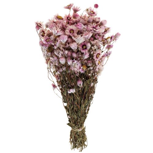 Floristik24 Šiaudinės gėlės džiovintos gėlės baltai rožinės spalvos 20-35cm kekė 40g