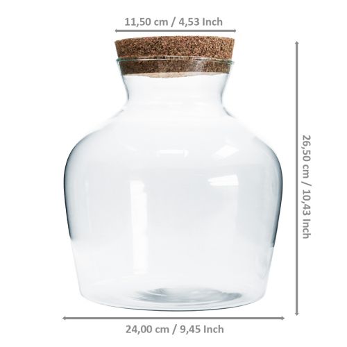 Floristik24 Dekoratyvinis stiklas su kamščiu Dekoratyvinė vaza su dangteliu H25cm Ø24cm