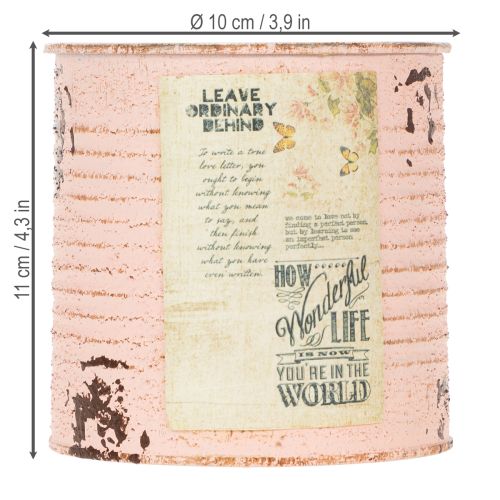 daiktų Gėlių vazonas, dekoratyvinis lašišos formos metalinis, vasariškas dekoravimas, Ø11cm, aukštis10.5cm