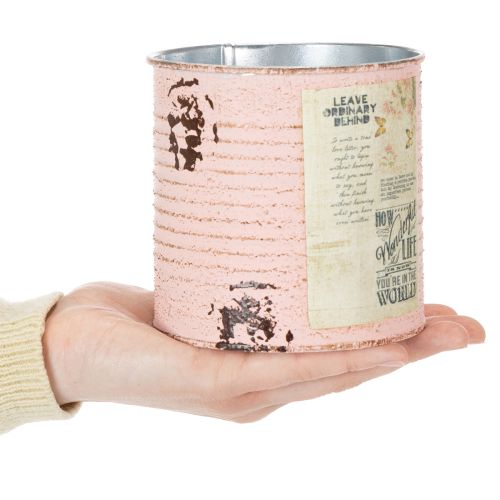 daiktų Gėlių vazonas, dekoratyvinis lašišos formos metalinis, vasariškas dekoravimas, Ø11cm, aukštis10.5cm