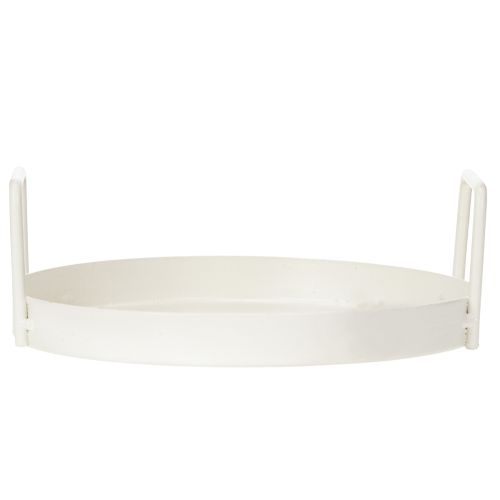 daiktų Augalų padėklas universaliam naudojimui namuose ir sode, 18 cm