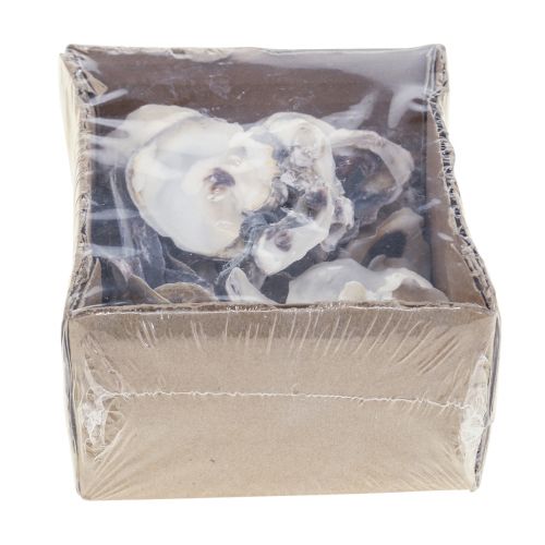 Floristik24 Austrių kriauklių deko kriauklių apdaila natural 2-6cm 250g