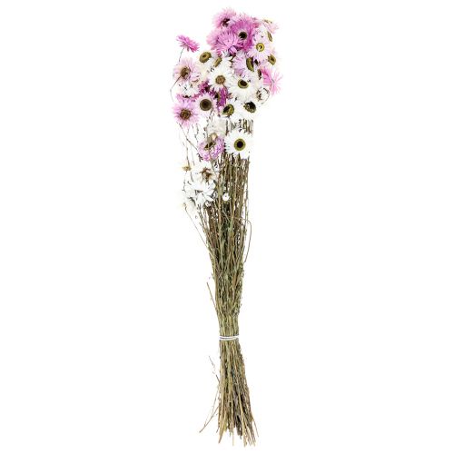 Floristik24 Džiovintos Gėlės Baltos Rožinės Šiaudinės Gėlės 40-45cm 30g